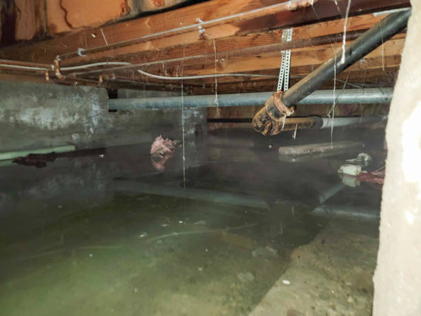 Best Commercial water damage restoration  in Millen, GA