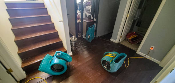 Best Flood damage cleanup  in Millen, GA