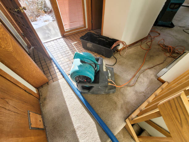 Best Residential water damage restoration  in Millen, GA