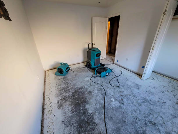 Best Water damage cleanup near me  in Millen, GA