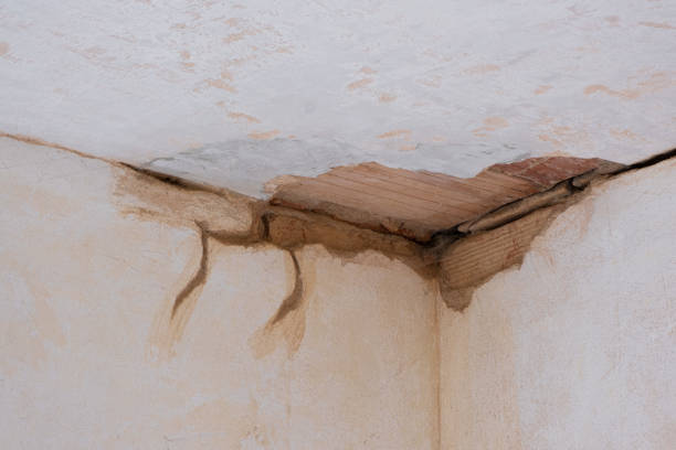 Professional Water damage restoration in Millen, GA