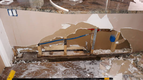 Best Mold removal after water damage  in Millen, GA