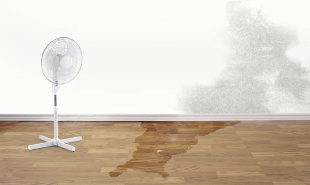 Best 24/7 water damage repair  in Millen, GA