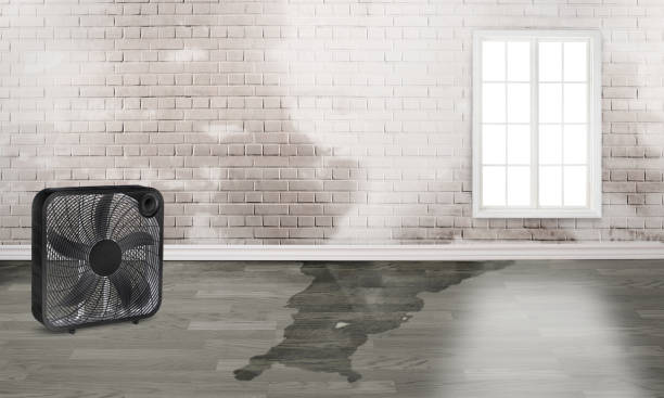 Best 24-hour water damage restoration  in Millen, GA