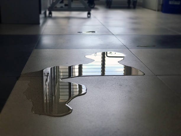 Best Water damage restoration near me  in Millen, GA