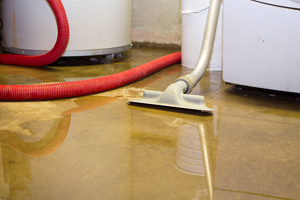 Best Emergency water extraction  in Millen, GA