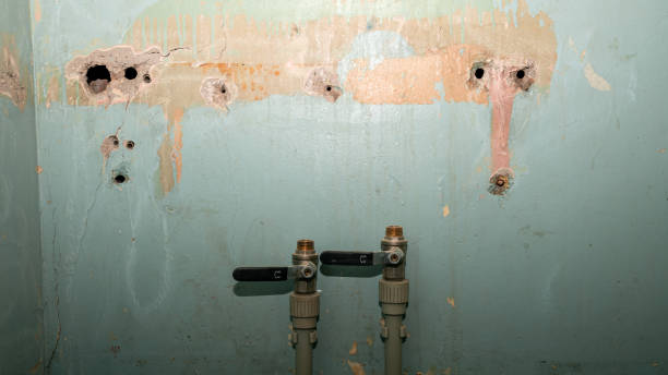 Best Water damage mitigation services  in Millen, GA