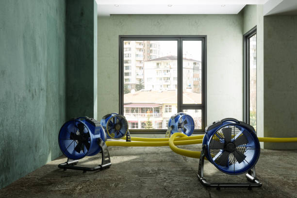 Best Basement water damage restoration  in Millen, GA