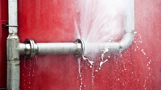 Best Carpet water damage restoration  in Millen, GA